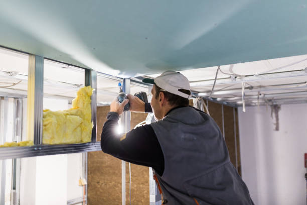 Best Insulation for New Construction  in Heber Overgaard, AZ