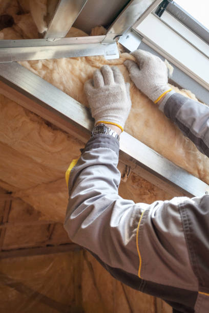 Best Local Insulation Services  in Heber Overgaard, AZ