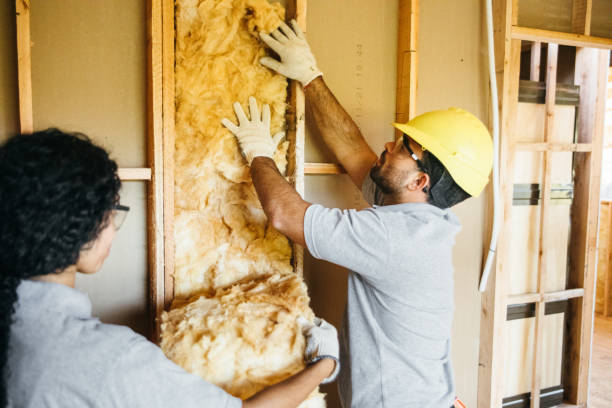 Best Blown-in Insulation  in Heber Overgaard, AZ