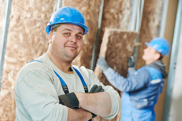 Insulation Replacement Services in Heber Overgaard, AZ